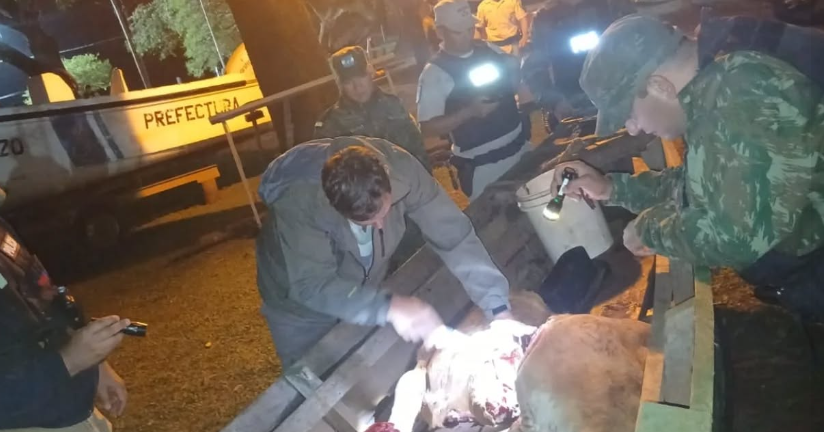 Violento ataque en la frontera: dispararon desde Brasil a efectivos de Prefectura