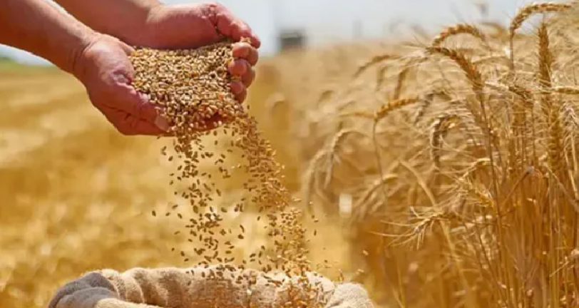 Preocupante: la guerra en Medio Oriente dispara los precios de los alimentos a nivel global