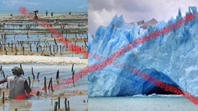 Greenpeace: "Un voto vergonzoso en contra de los glaciares y los humedales” 