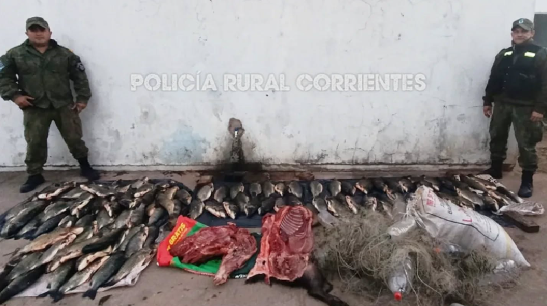SALADAS: OTRO GOLPE A LOS QUE DEPREDAN NUESTRA FAUNA ÍCTICA Y SILVESTRE