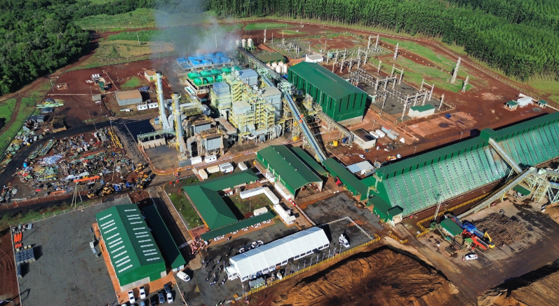 CORRIENTES REUNIRÁ AL SECTOR FORESTOINDUSTRIAL DE TODO EL PAÍS EN UNA EXPOSICIÓN DE TRES DÍAS