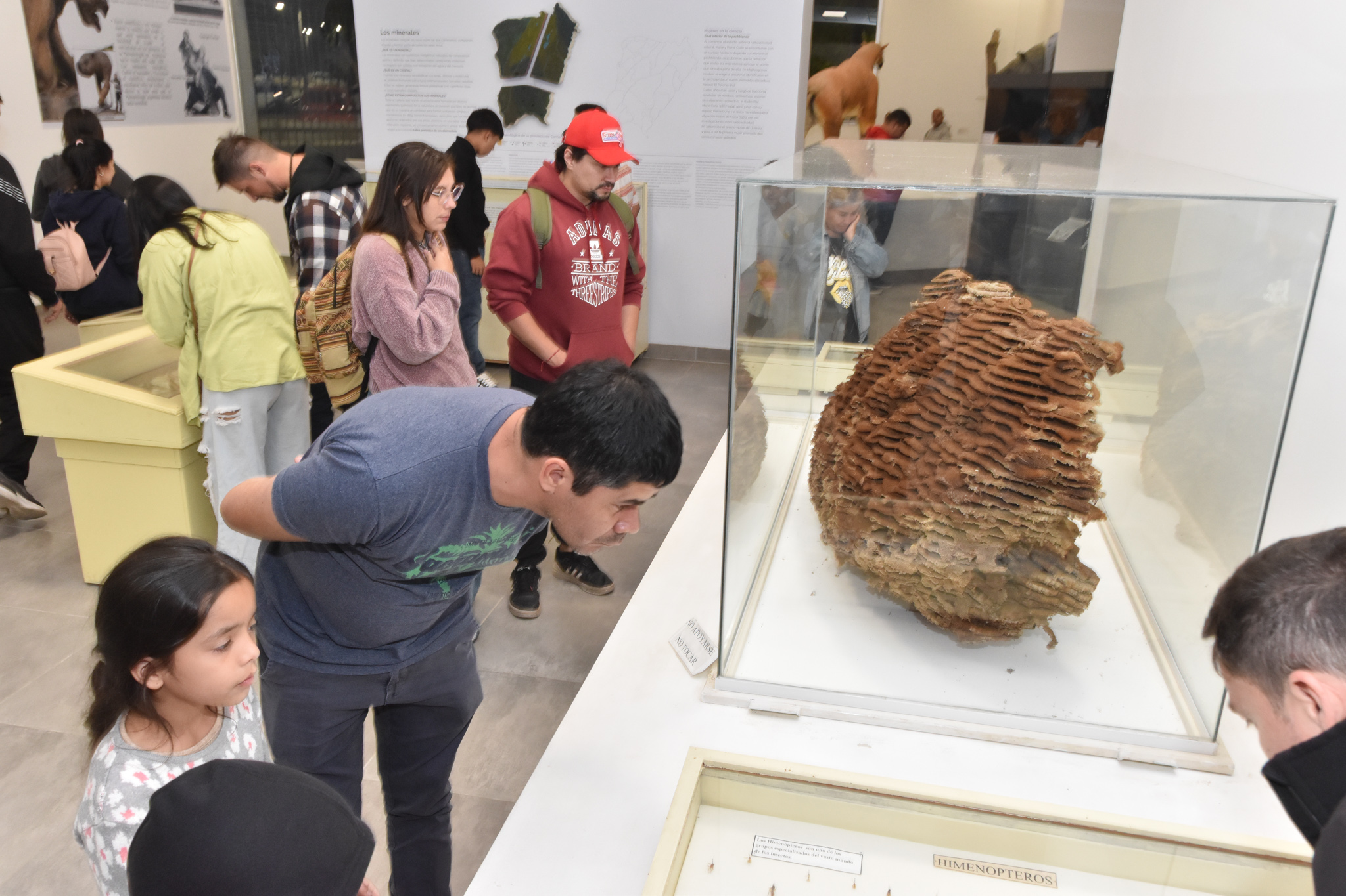 La Noche de los Museos: exitosa edición con participación de espacios de toda la provincia