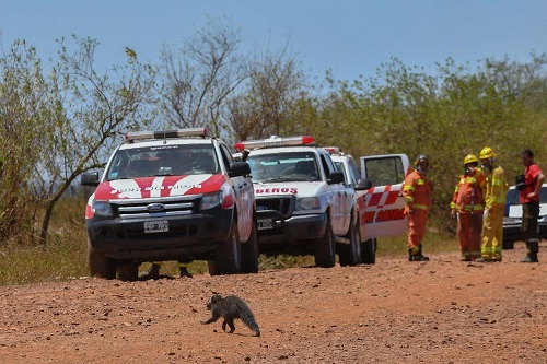 incendio_en_carlos_pellegrini1.jpg