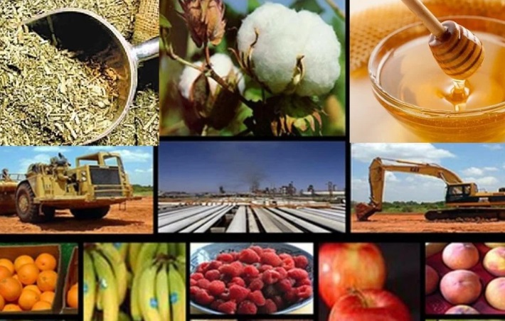Del productor al consumidor, los precios de los agroalimentos se multiplicaron por 3,6 veces en noviembre