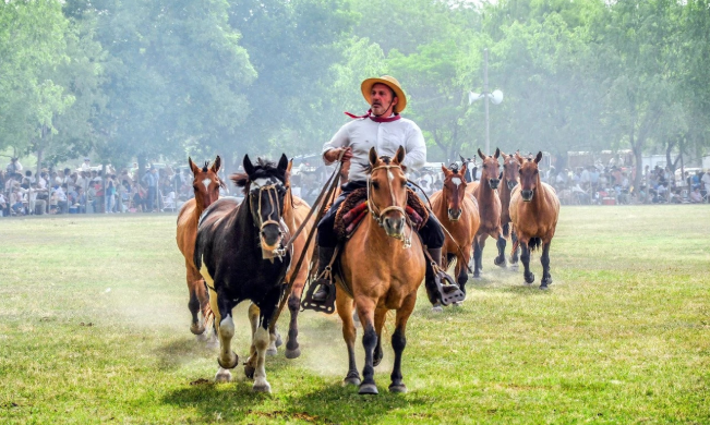 San Antonio de Areco, la cuna de la tradición gaucha: cómo llegar y qué actividades se pueden hacer