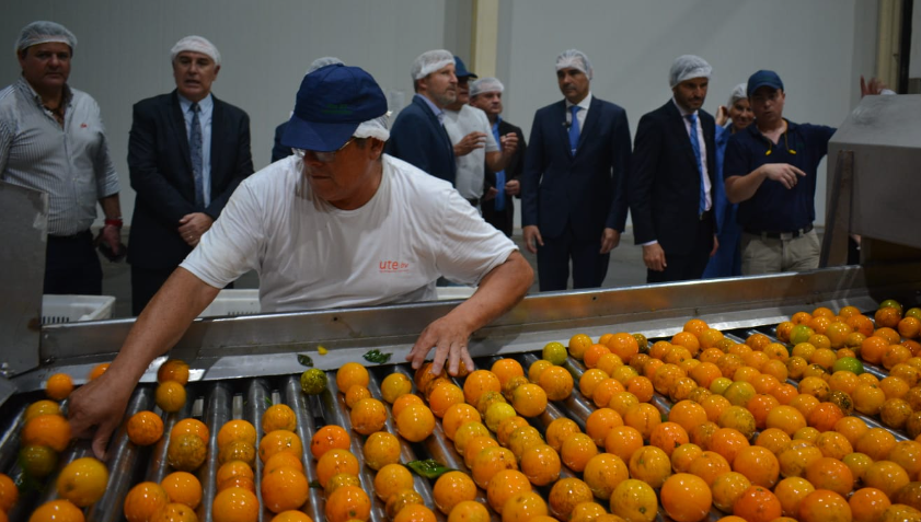 La industria del jugo de naranja en Corrientes se fortalece ante la demanda internacional