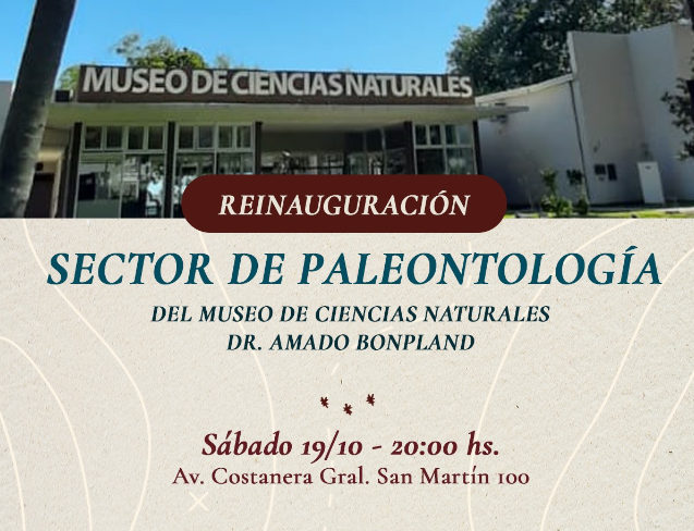 Se habilita el renovado Sector de Paleontología del Museo "Amado Bonpland"