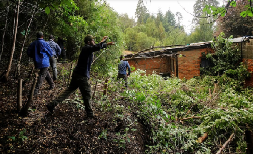  Incendios en Chubut: el gobernador Torres confirmó que el fuego está contenido en un 100% en Puerto Patriada