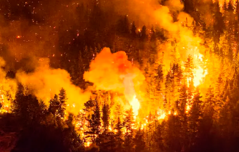 Chubut: ya son más de 13.000 las hectáreas alcanzadas por el fuego