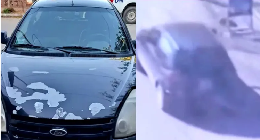 Caso Agostina Vega: la estremecedora hipótesis sobre cómo trasladaron sus restos en un Ford Ka