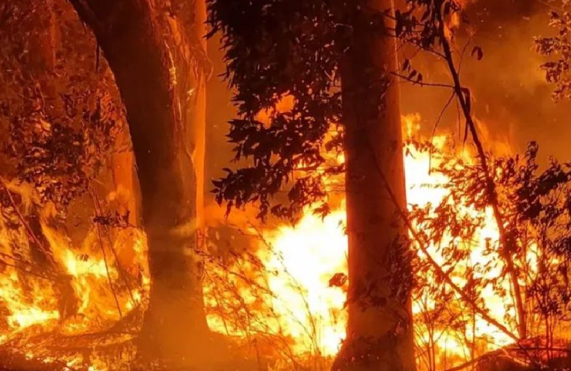Riesgo extremo de incendios en Corrientes: despliegan 1.200 bomberos y aviones hidrantes