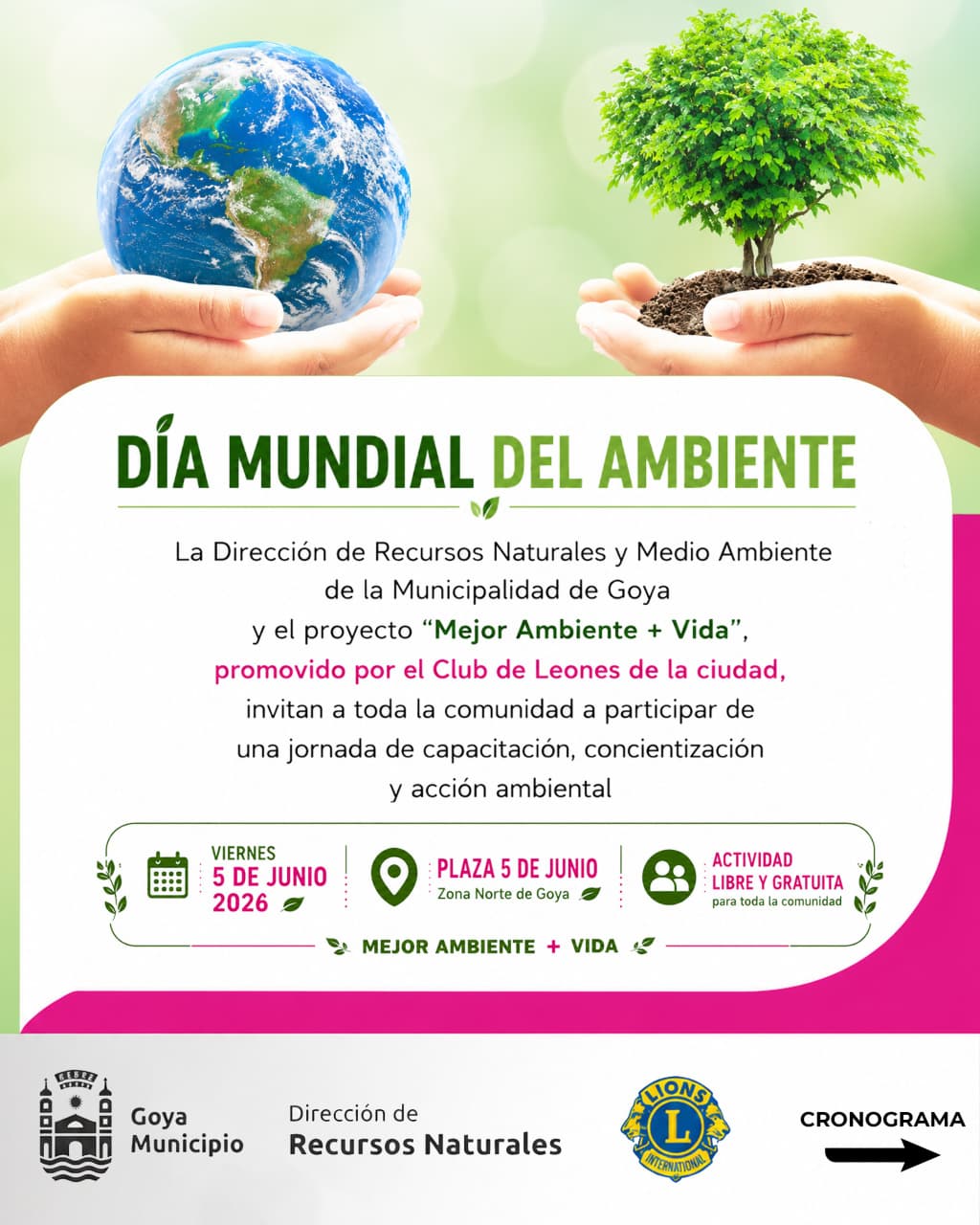 “MEJOR AMBIENTE + VIDA”: JORNADA ABIERTA CON CHARLAS Y ACTIVIDADES EN PLAZA 5 DE JUNIO