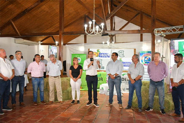 diario primera hora