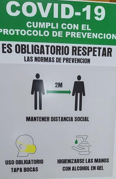 DIARIO PRIMERA HORA