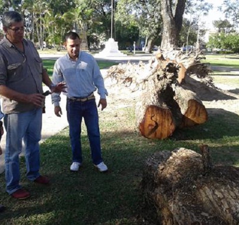MUNICIPALIDAD COLOCARA NUEVO ARCO EN AVENIDA PRIMEROS CONCEJALES 