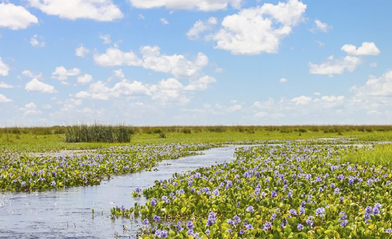 TURISMO DEL LITORAL: CORRIENTES, MISIONES Y FORMOSA FUERON LAS ESTRELLAS DE LAS VACACIONES DE INVIERNO