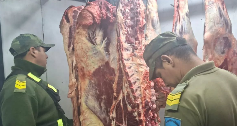 CHAVARRÍA: SECUESTRAN MÁS DE 200 KILOS DE CARNE CON TIERRA Y PASTO EN UNA CARNICERÍA