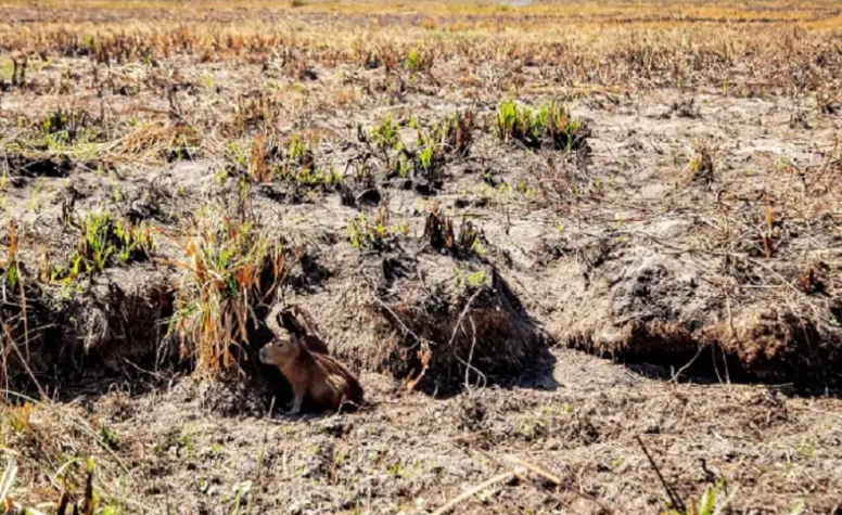 Alerta por La Niña: cómo afectará el fenómeno en Corrientes y qué dicen los expertos