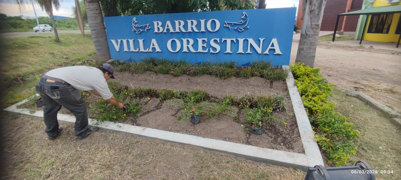 VILLA ORESTINA: PLANTACIÓN DE ESPECIES ORNAMENTALES Y TAREAS DE MANTENIMIENTO EN EL ACCESO AL BARRIO