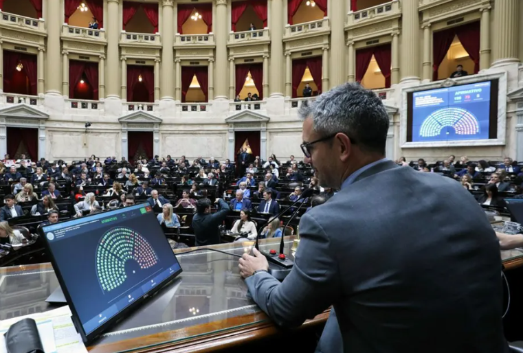 Diputados rechazó el veto de Milei a la Ley de Emergencia en Discapacidad